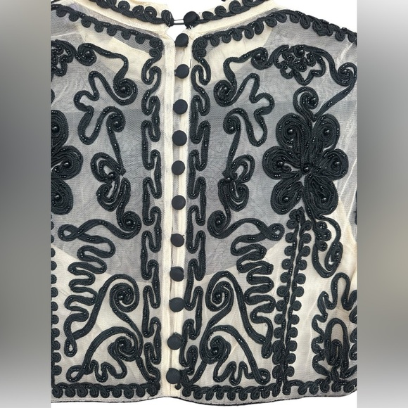 Free People Ginger Meadow Fit and Flare Dress Size 6 Black Sheer Velvet Goth - Picture 9 of 12